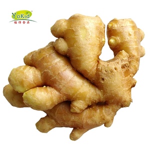 Người Mua Vua Của Gừng - Product Image 4
