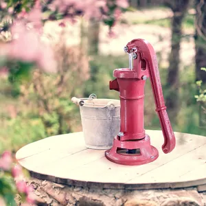 Pompe à eau de pichet de puits peu profond de jardin d'agriculture de chapeau réglable de poignée manuelle