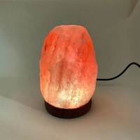 Petites lampes au sel de l'Himalaya cristal de roche naturel énergie négative lumières à intensité variable pour la décoration intérieure cadeau de vacances