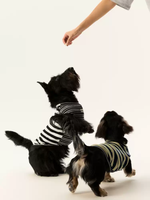Gilet rafraîchissant rayé pour chien, idéal printemps-été, fin, respirant, lavable en machine, vêtements pour animaux de compagnie, convient aux petits chiens et aux Teckels