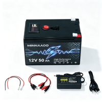 Paket Baterai Lithium OEM 12V 120Ah 100Ah 60ah 50ah 30ah Dengan Port USB BMS untuk Penyemprot Kendaraan Listrik Penyimpanan Tenaga Surya Berkemah