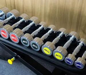 Home Gym Equipment Custom Chrome Round Steel Dumbbells Set For Gym 1-10kg Weight Dumbbell