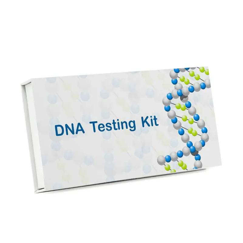 집에서 할 DNA 검사를위한 인간 수집 튜브 인간 친자 확인 조상 DNA 검사를위한 도매 샘플 수집 키트