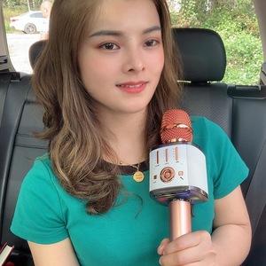 <b>Wireless</b> <b>Microphone</b> MC16 Magic Voice with LED Lights,Portable Handheld - Product Image 6