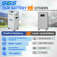 Stock UE Active Balance Seplos Smart BMS3.0 16kWh 51.2V 314Ah Modèle L1 Pack de batteries LiFePO4 sur roues pour système de stockage d'énergie domestique