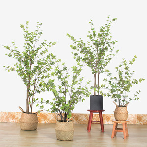 <span class=keywords><strong>Bonsai</strong></span> di plastica verde <span class=keywords><strong>Bonsai</strong></span> artificiale per albero <span class=keywords><strong>Bonsai</strong></span> <span class=keywords><strong>Bonsai</strong></span> <span class=keywords><strong>da</strong></span> pavimento per casa matrimonio decorazione soggiorno - Product Image 1