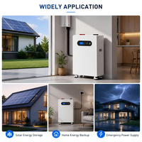 Système de stockage d'énergie domestique 16 kWh, batterie LiFePO4 51,2 V 314 Ah avec BMS intelligent et moniteur WiFi tout-en-un pour système solaire résidentiel