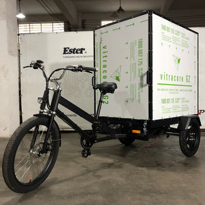 Tricycle <span class=keywords><strong>cargo</strong></span> Ester <span class=keywords><strong>2023</strong></span>, plus robuste, vélo <span class=keywords><strong>cargo</strong></span> à forte charge - Product Image 4