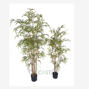 Clôture naturelle en <span class=keywords><strong>bambou</strong></span>, 1 pièce, tendance, panneaux d'écran, plantes pour décoration intérieure et extérieure de la maison - Product Image 4