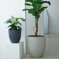Fournitures de jardinage Brosse à main en fibre de verre Décoration extérieure de la maison Pots à bonsaï en ciment Grands pots de plantation avec trou d'évacuation