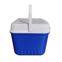 LIHENG Glacière Isotherme Portable en Gros, Capacité 13L, pour Camping et Stockage Alimentaire en Extérieur avec Poignée