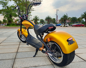 มอเตอร์ไซค์แบตเตอรี่ 2000w 60v 20ah สำหรับผู้ใหญ่ - Product Image 3