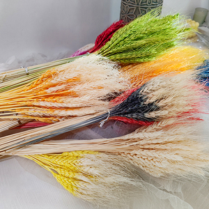 Vente directe par le fabricant du Yunnan de bouquets de blé séchés biologiques de plantes de fleurs éternelles naturelles et de faisceaux de paille pour mariage à la maison - Product Image 3