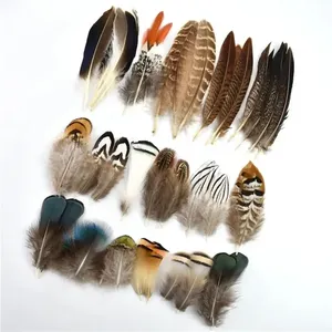 Lot de 40/48 Plumes Naturelles Teintes Assorties – 6 Styles Variés, Grandes Plumes Mélangées, Plumes Longues de <span class=keywords><strong>Faisan</strong></span> - Product Image 3