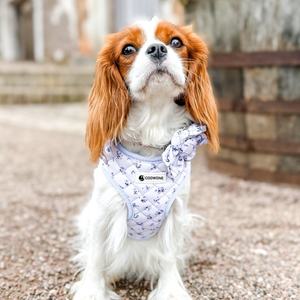 Harness Anjing Model Jepit Depan Set Harness Hewan Peliharaan yang Dapat Disesuaikan dengan Kalung dan Tali yang Serasi Harness Anjing Mewah - Product Image 2