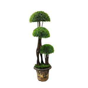 Planta de simulación de moda con forma especial, árbol de jardinería con hojas de pino y simulación de hongos, decoración verde para macetas - Product Image 5