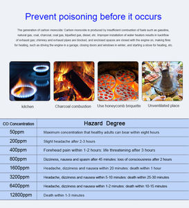 <span class=keywords><strong>Detector</strong></span> de Monóxido de Carbono PGST Preço de Atacado <span class=keywords><strong>Detector</strong></span> de Alarme Alimentado por Bateria com Display LCD Padrões UL2034 - Product Image 3