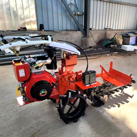 Máquina Multifuncional de Excavación y Zanjado con Cadena de Transmisión, Motor Diésel para Tractor Agrícola