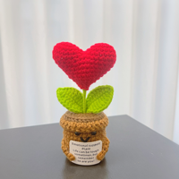 Pot de fleur créatif au crochet pour amour ornement tricoté décoratif de bureau pour l'obtention du diplôme ou Halloween pour les plantes en pot