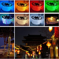 Ruban LED blanc chaud 13 mm, rouleau de 100 m, étanche IP65, découpable tous les 1 m, tube PVC flexible, bobine, éclairage extérieur pour façade