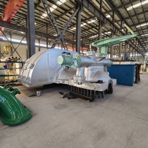 Конденсационные паротурбинные установки для выработки электроэнергии 0.3МВт-50МВт: Экологичная тепловая электростанция с насосом и ПЛК - Product Image 3