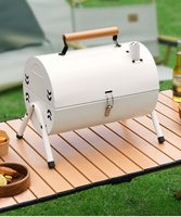 Mini gril à charbon de fer pliant portable pour l'extérieur pour les pique-niques Garden Parties Camping Trips