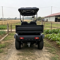 Carrito de Golf Eléctrico Personalizado de Buena Calidad, Homologado para Circular por la Calle, con 4 Asientos y Caja de Carga con Plataforma Abatible