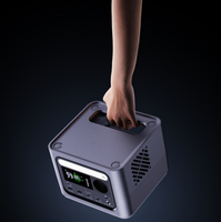Station d'alimentation portable Safe LiFePO4 GO300 300W à onde sinusoïdale pure pour le camping et les situations d'urgence