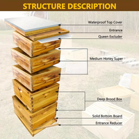 Großhandel Wachsbeschichteter Holz-5-Rahmen-Bienenstock Komplettes Bienenstock-Set mit Individuellem Logo Imkerei-Ausrüstung