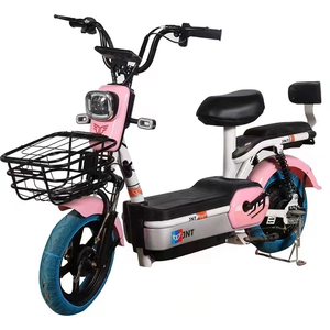 Nouvelle VTT 16 pouces en acier haute teneur en carbone avec batterie au plomb-acide 48V et éclairage - Product Image 6