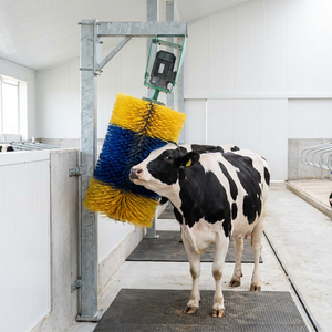 Brosse à rouleau robuste en plastique pour vaches avec tige antidérapante épaissie et poils renforcés – Nouvelle brosse <span class=keywords><strong>de</strong></span> massage pour bétail à usage agricole - Product Image 5