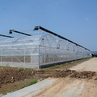 Serre tunnel en plastique multi-travées anti-UV pour tomates Fuma Sales