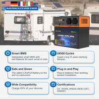Ensemble complet portable de batterie LiFePO4 12V 100Ah avec onduleur intégré, conçu pour les camping-cars, l'énergie solaire hors réseau et les situations d'urgence