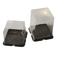Boîte à gâteau mousse noire de style Musan Mountain, anti-buée, anti-gel, emballage alimentaire transparent en PET carré de 5 pouces
