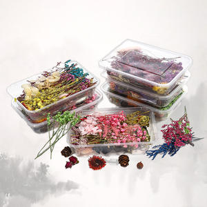 ดอกไม้แห้งลอยน้ำ ดอกไม้อมตะ ของขวัญวันวาเลนไทน์ ของขวัญขึ้นบ้านใหม่ 38 ชิ้น ของขวัญ DIY ทำพัด ลายนูน คละสี ยูนนาน ดอกไม้แห้ง AC0659 - Product Image 5