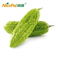 Poudre de jus de melon amer vert concentré naturel pour thé instantané, capsules de santé, produits minceur BRC/ISO/KOSHER/HALAL