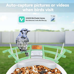 เครื่องให้อาหารนกอัจฉริยะแบบกลุ่มสไปรท์พร้อมกล้องเครื่องให้อาหารนกฮัมมิงเบิร์ดพลังงานแสงอาทิตย์สำหรับกลางแจ้งกล้องป้อนนก1080P - Product Image 3