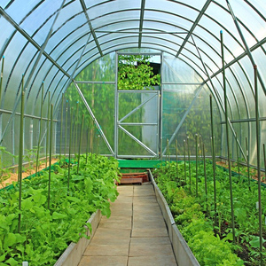 Chất lượng cao rõ ràng UV kháng nhà kính cuộn phim nhựa, được sử dụng cho trồng rau - Product Image 6