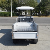 Mini camionnette électrique ZYCAR neuve de 0,5 tonne pour le transport de personnes et de matériel