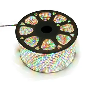 Hot Selling 10 Meter Smart RGB Colorful Luces LED Light Strip/Strip Lights Led Strip Light