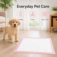 Feuilles absorbantes jetables pour animaux de compagnie, exportées directement d'usine, avec couche absorbante haute capacité et barrière anti-humidité, pour usage domestique et en clinique vétérinaire