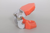 Modelo de Práctica de Implantes Dentales de Resina y PVC, Entrenamiento de Comunicación Médico-Paciente para Ciencias Médicas