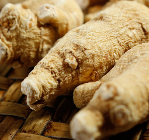 Toptan ucuz fiyat kurutulmuş amerikan ginseng orijinal amerikan ginseng ham kök satılık - Product Image 4