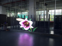 Écran LED flexible transparent de luxe BOE pour publicité intérieure/extérieure, adhésif de collage sur verre, écrans haut de gamme HDR 1000:1 1080P