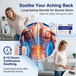 Parche transdérmico de glucosamina, condroitina y calcio de alta calidad para el cuidado de la salud, parche tópico de glucosamina y condroitina - Product Image 6