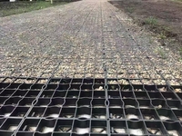 Grille d'herbe en plastique haute durabilité de 5 cm pour l'aménagement paysager extérieur Fire-Passage Parking Pelouse HDPE Matériau résistant à la haute pression