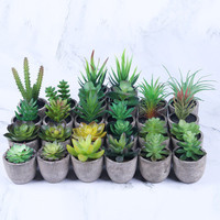 Plantes succulentes bonsaï Cactus en pot, fausses plantes vertes pour décoration de jardin, maison