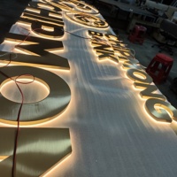 Enseigne LED personnalisée, publicité rétroéclairée, logo de bureau en métal doré, lettres d'enseigne, enseigne LED intérieure et extérieure, enseigne murale 3D LED