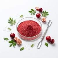 Extrait de Canneberge Naturel en Poudre 25% 50% PACs Qualité Alimentaire Certifié Halal Testé HPLC Extrait par Solvant pour la Santé Urinaire