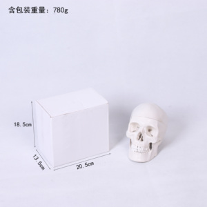 Sinh Học Giảng Dạy Đầu Người <span class=keywords><strong>M</strong></span>ô Hình Trường <span class=keywords><strong>Skeleton</strong></span> Giảng Dạy Y Tế Giải Phẫu Kích Thước Tự Nhiên 3D <span class=keywords><strong>M</strong></span>ô Hình Hộp Sọ Chất Liệu PVC Bền - Product Image 5